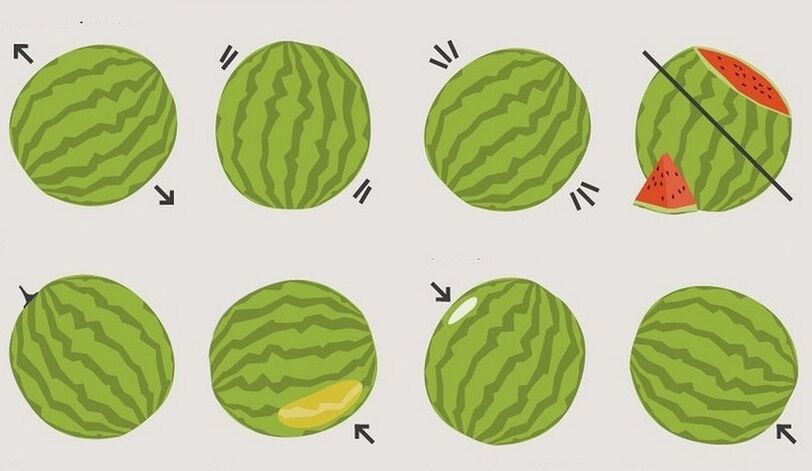 çawa ji bo hilbijartina zebeş